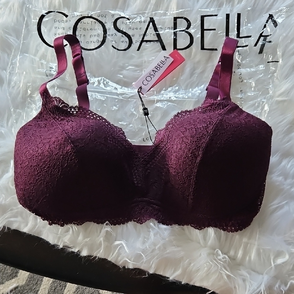 Cosabella Forte Travel Padded Size Curvy Small Women's Lace Bra in Burgundy